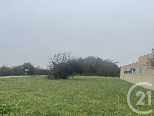 terrain - DOLUS D OLERON - 17