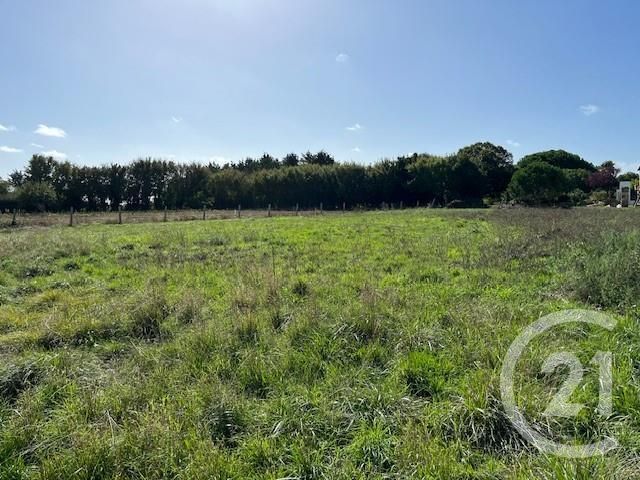 Terrain &agrave; vendre - 917 m2 - St Georges D Oleron - 17 - POITOU-CHARENTES