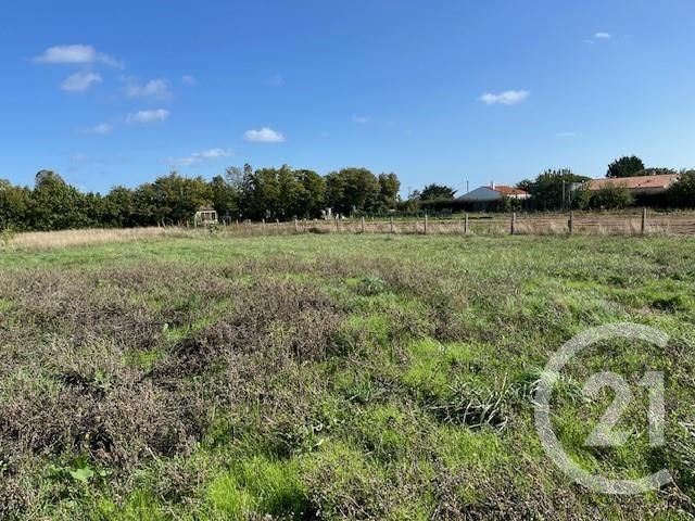 Terrain à vendre ST GEORGES D OLERON
