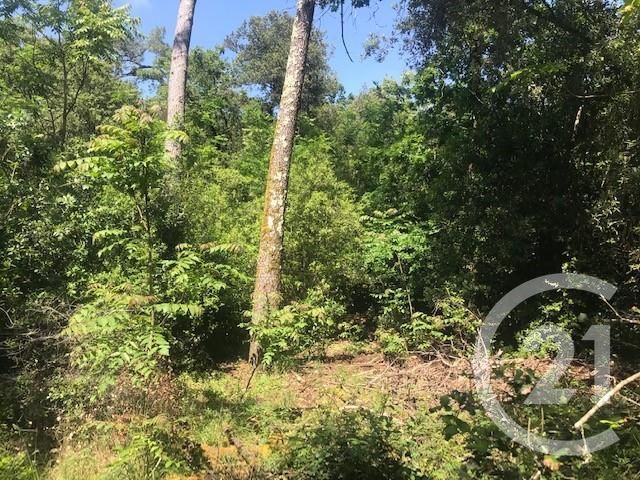 Maison &agrave; vendre - 5 pi&egrave;ces - 77,67 m2 - St Trojan Les Bains - 17 - POITOU-CHARENTES