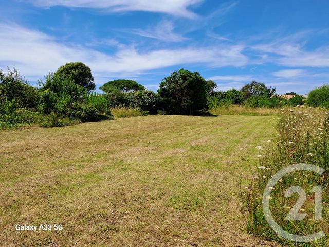 Terrain &agrave; vendre - 288 m2 - St Pierre D Oleron - 17 - POITOU-CHARENTES