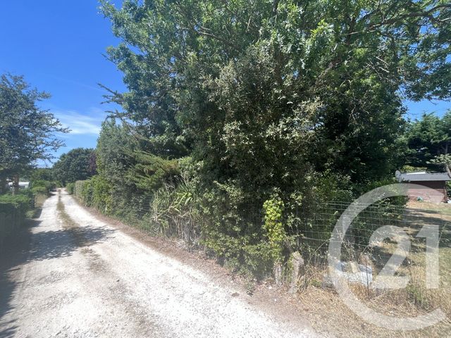 Terrain à vendre ST PIERRE D OLERON