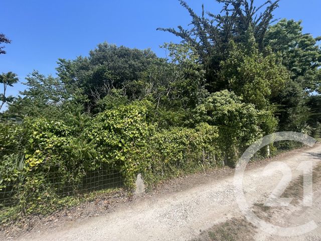 Terrain &agrave; vendre - 465 m2 - St Pierre D Oleron - 17 - POITOU-CHARENTES