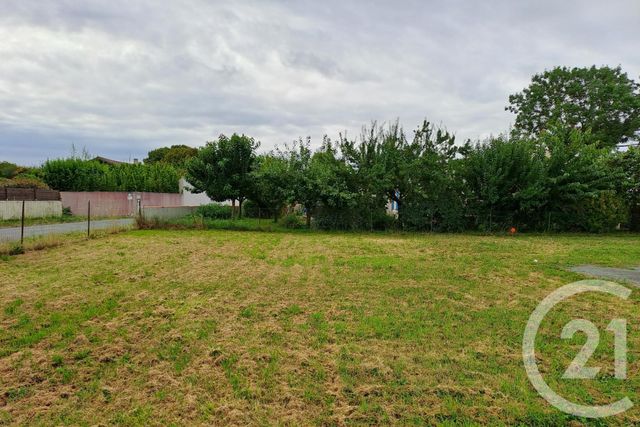 terrain - ST PIERRE D OLERON - 17