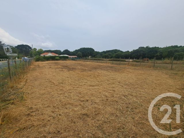 Maison &agrave; vendre - 3 pi&egrave;ces - 74,28 m2 - Dolus D Oleron - 17 - POITOU-CHARENTES