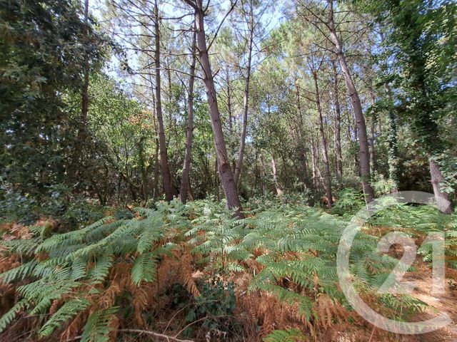 Maison &agrave; vendre - 5 pi&egrave;ces - 101,93 m2 - Dolus D Oleron - 17 - POITOU-CHARENTES