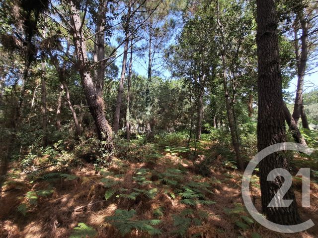 Maison &agrave; vendre - 5 pi&egrave;ces - 101,93 m2 - Dolus D Oleron - 17 - POITOU-CHARENTES