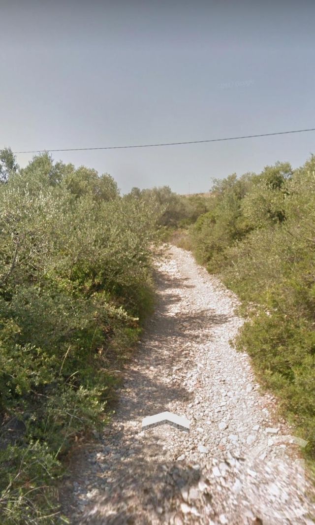 terrain - LA PALME - 11