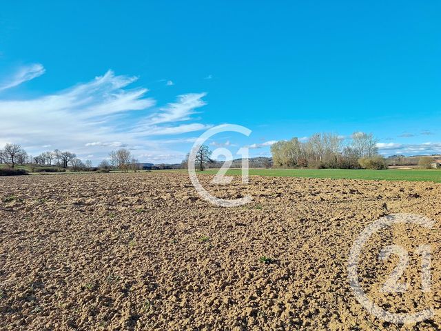Terrain &agrave; vendre - 17780 m2 - Lavaur - 81 - MIDI-PYRENEES