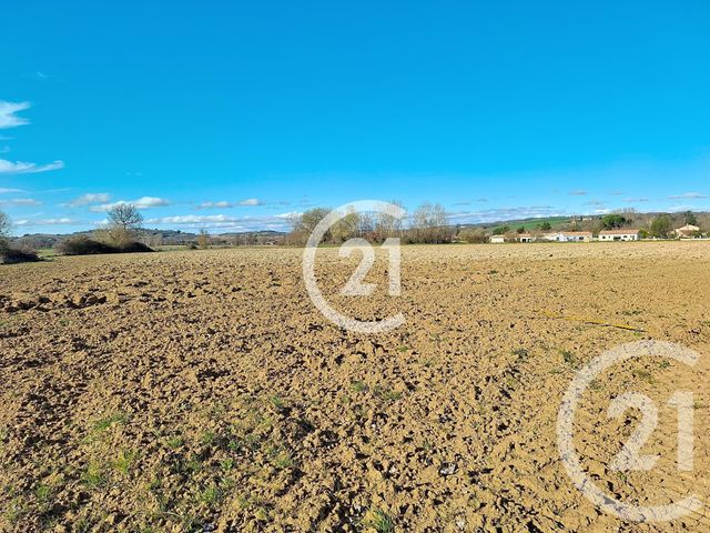 Terrain &agrave; vendre - 17780 m2 - Lavaur - 81 - MIDI-PYRENEES