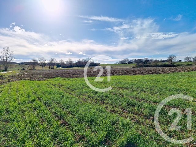 Terrain &agrave; vendre - 17780 m2 - Lavaur - 81 - MIDI-PYRENEES
