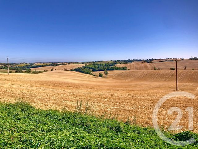 Maison à vendre - 10 pièces - 390 m2 - Toulouse - 31 - MIDI-PYRENEES