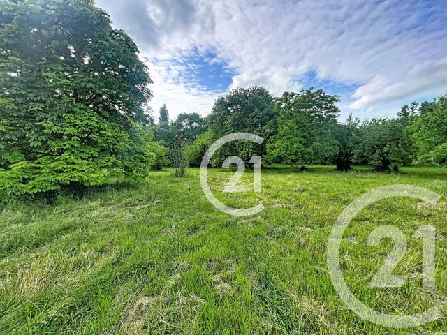 Maison &agrave; vendre - 8 pi&egrave;ces - 160 m2 - Lavaur - 81 - MIDI-PYRENEES