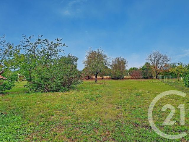 Terrain &agrave; vendre - 1241 m2 - Lavaur - 81 - MIDI-PYRENEES