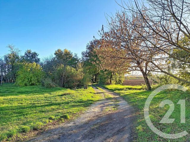 Maison &agrave; vendre - 6 pi&egrave;ces - 150 m2 - Lavaur - 81 - MIDI-PYRENEES