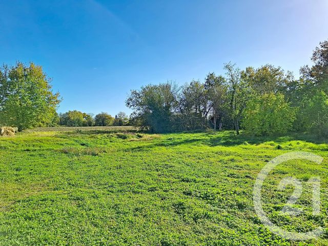 Maison &agrave; vendre - 6 pi&egrave;ces - 150 m2 - Lavaur - 81 - MIDI-PYRENEES