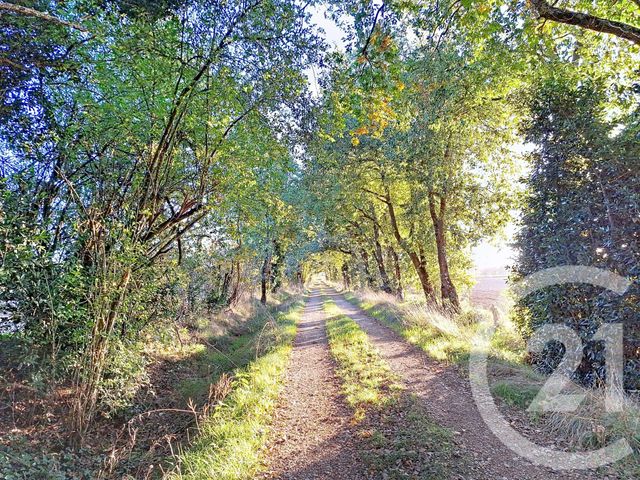 Maison &agrave; vendre - 6 pi&egrave;ces - 150 m2 - Lavaur - 81 - MIDI-PYRENEES