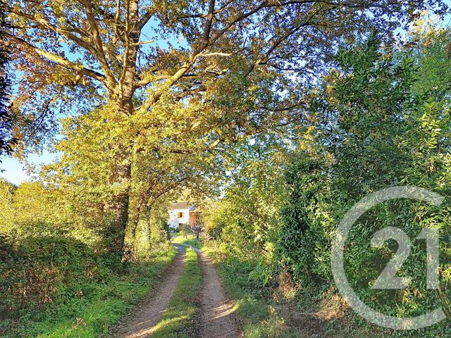 Maison &agrave; vendre - 6 pi&egrave;ces - 150 m2 - Lavaur - 81 - MIDI-PYRENEES