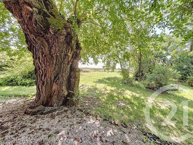 Maison &agrave; vendre - 12 pi&egrave;ces - 390 m2 - Lavaur - 81 - MIDI-PYRENEES