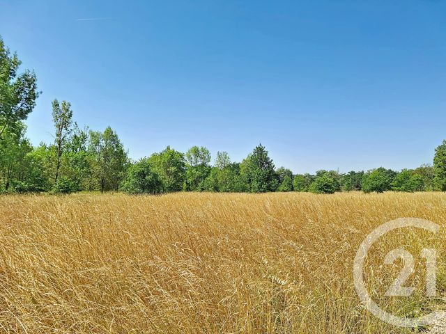 Maison &agrave; vendre - 6 pi&egrave;ces - 122 m2 - Lavaur - 81 - MIDI-PYRENEES