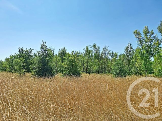 Maison &agrave; vendre - 6 pi&egrave;ces - 122 m2 - Lavaur - 81 - MIDI-PYRENEES