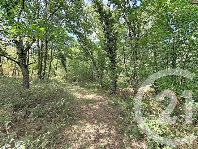 Maison &agrave; vendre - 11 pi&egrave;ces - 218 m2 - Giroussens - 81 - MIDI-PYRENEES