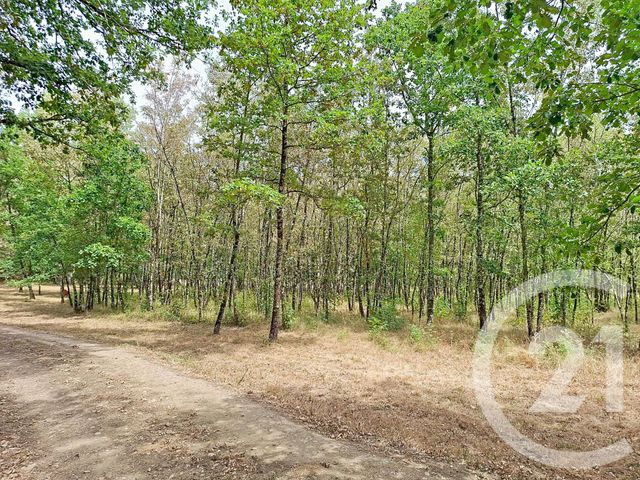 Maison &agrave; vendre - 10 pi&egrave;ces - 433,37 m2 - Lavaur - 81 - MIDI-PYRENEES