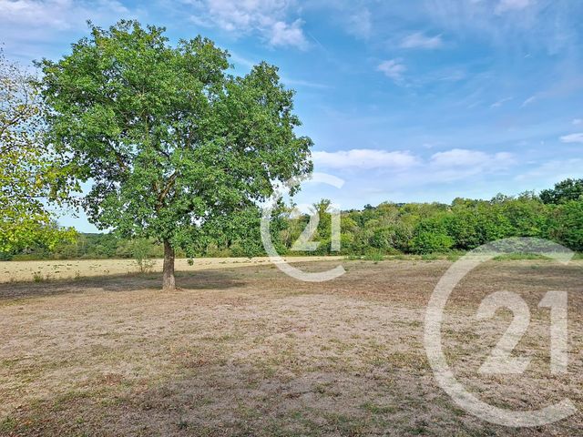 Maison &agrave; vendre - 7 pi&egrave;ces - 268,50 m2 - Lavaur - 81 - MIDI-PYRENEES