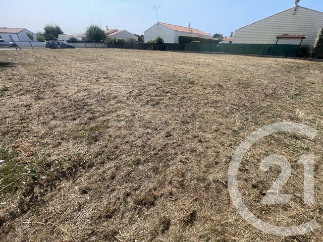 terrain - LONGEVILLE SUR MER - 85