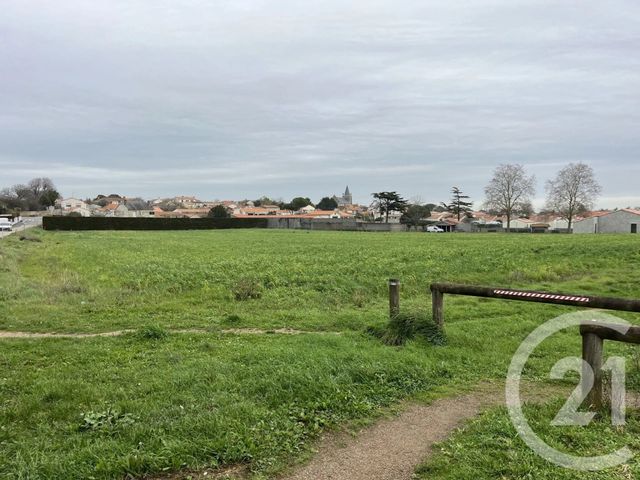terrain - LONGEVILLE SUR MER - 85