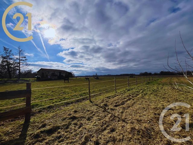 Maison à vendre - 5 pièces - 145 m2 - Moulon - 33 - AQUITAINE