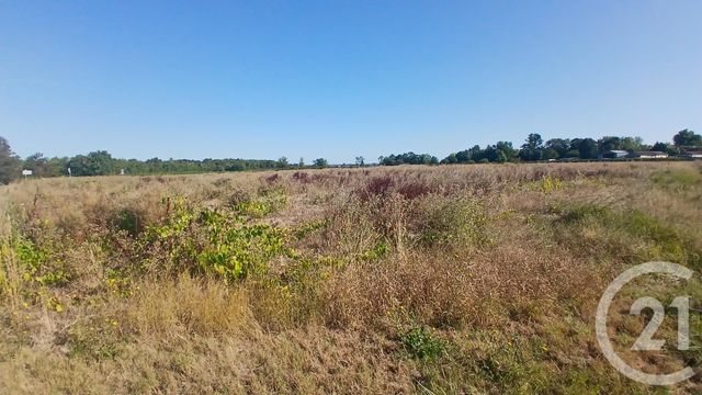 Terrain &agrave; vendre - 6188 m2 - Genissac - 33 - AQUITAINE