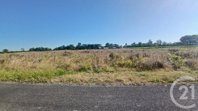 Terrain &agrave; vendre - 6188 m2 - Genissac - 33 - AQUITAINE