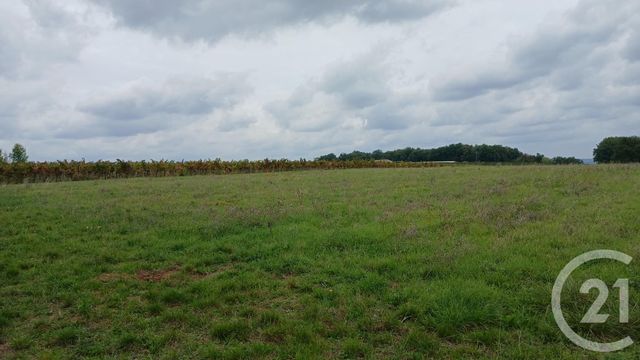 Terrain &agrave; vendre - 1633 m2 - Rauzan - 33 - AQUITAINE