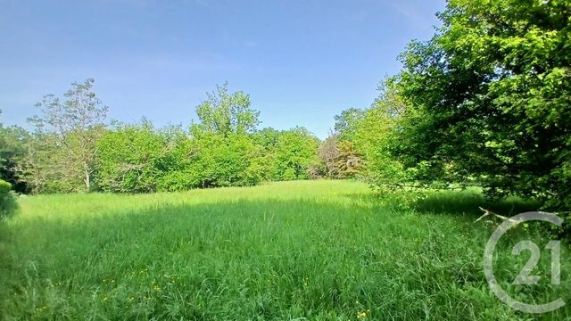 Maison &agrave; vendre - 5 pi&egrave;ces - 140 m2 - Rauzan - 33 - AQUITAINE
