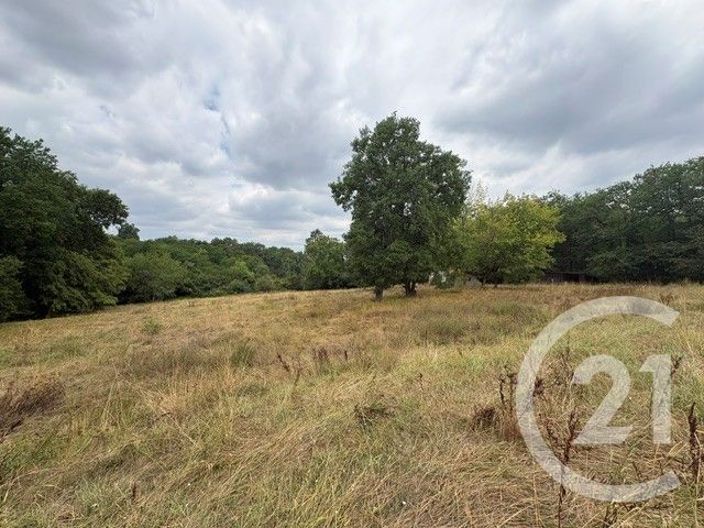 Maison &agrave; vendre - 6 pi&egrave;ces - 201 m2 - Cenac - 33 - AQUITAINE