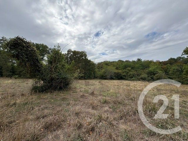 Maison &agrave; vendre - 6 pi&egrave;ces - 201 m2 - Cenac - 33 - AQUITAINE