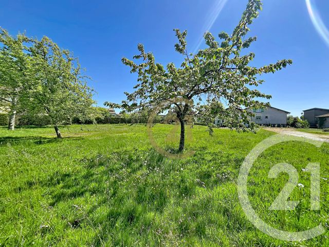 Terrain &agrave; vendre - 700 m2 - Luxeuil Les Bains - 70 - FRANCHE-COMTE