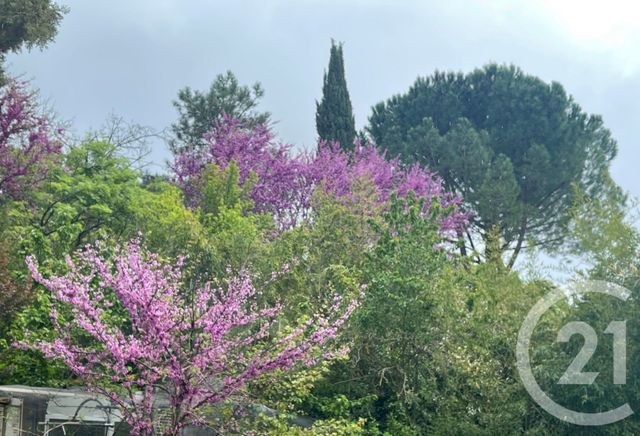 Maison à vendre - 6 pièces - 175 m2 - Vailhauques - 34 - LANGUEDOC-ROUSSILLON