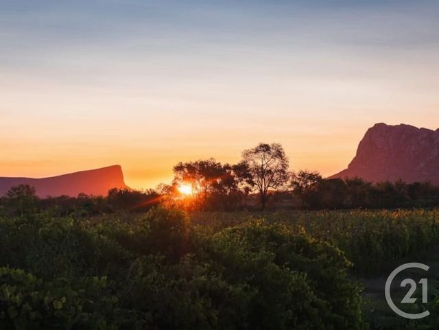 Appartement F2 &agrave; vendre - 2 pi&egrave;ces - 35,70 m2 - St Mathieu De Treviers - 34 - LANGUEDOC-ROUSSILLON