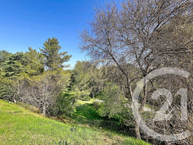 Appartement F2 &agrave; vendre - 2 pi&egrave;ces - 45 m2 - St Gely Du Fesc - 34 - LANGUEDOC-ROUSSILLON