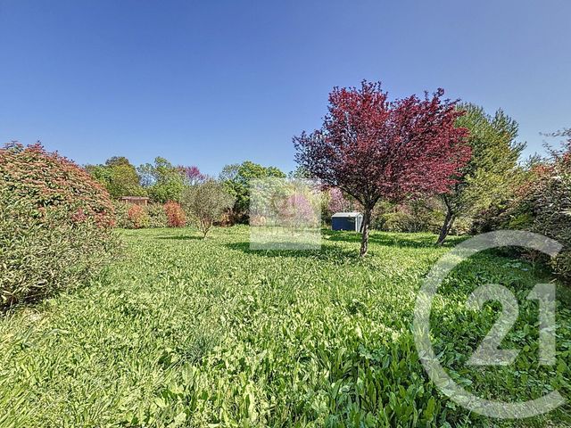 Maison à vendre - 6 pièces - 135 m2 - Combaillaux - 34 - LANGUEDOC-ROUSSILLON