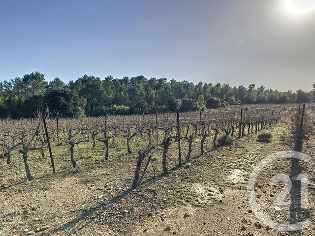 Terrain &agrave; vendre - 11476 m2 - Vacquieres - 34 - LANGUEDOC-ROUSSILLON