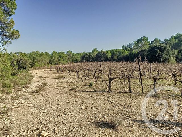 Terrain &agrave; vendre - 11476 m2 - Vacquieres - 34 - LANGUEDOC-ROUSSILLON