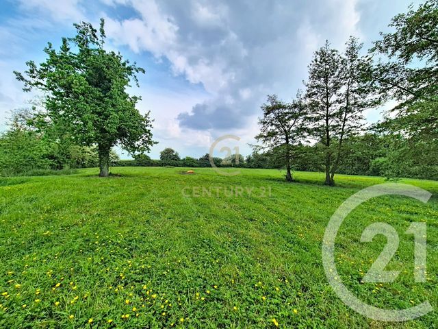 Maison &agrave; vendre - 4 pi&egrave;ces - 287,40 m2 - Nieppe - 59 - NORD-PAS-DE-CALAIS