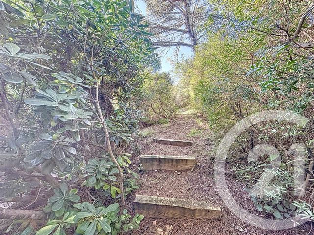 Maison à vendre - 10 pièces - 268 m2 - St Clement De Riviere - 34 - LANGUEDOC-ROUSSILLON