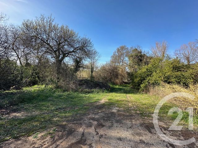 Maison à vendre - 5 pièces - 118,37 m2 - Grabels - 34 - LANGUEDOC-ROUSSILLON