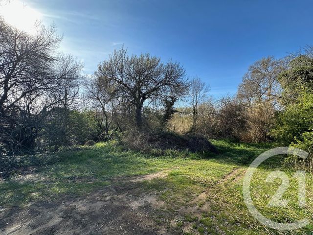 Maison à vendre - 5 pièces - 118,37 m2 - Grabels - 34 - LANGUEDOC-ROUSSILLON