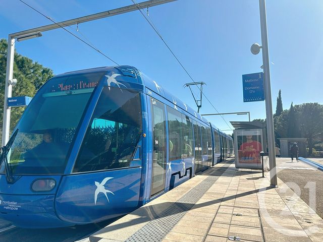 Appartement F2 à vendre - 2 pièces - 47,18 m2 - Montpellier - 34 - LANGUEDOC-ROUSSILLON