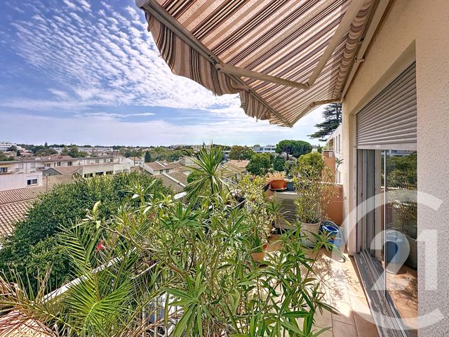 appartement - MONTPELLIER - 34